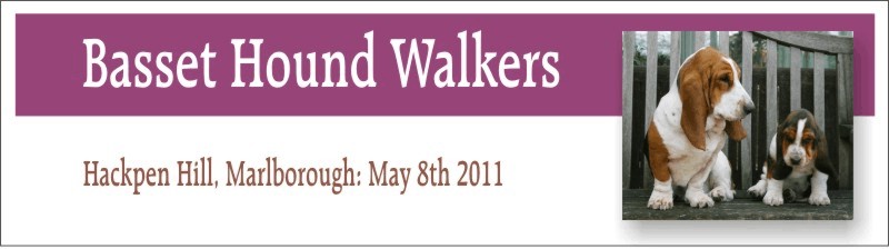 Walk May 7th